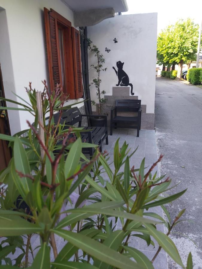 Intero :casa D D Nuova Aperturahost Rosi Omegna